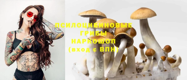 прущие крисы Дмитриев