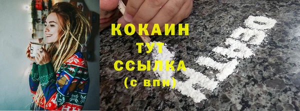 прущие крисы Дмитриев