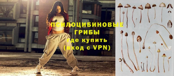 прущие крисы Дмитриев