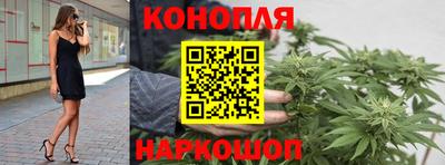 mdpv Белореченск