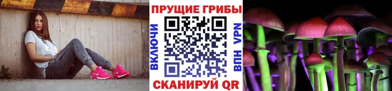 MEGA как зайти  Заинск  Галлюциногенные грибы мицелий 