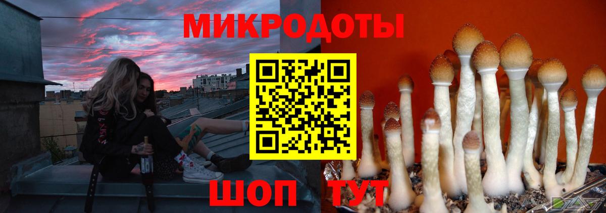 Галлюциногенные грибы GOLDEN TEACHER  Вход с VPN  Заинск 