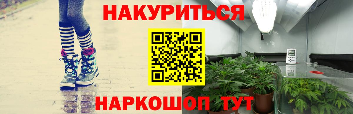 Шишки марихуана марихуана  Вход с VPN  Заинск  Каннабис OG Kush 